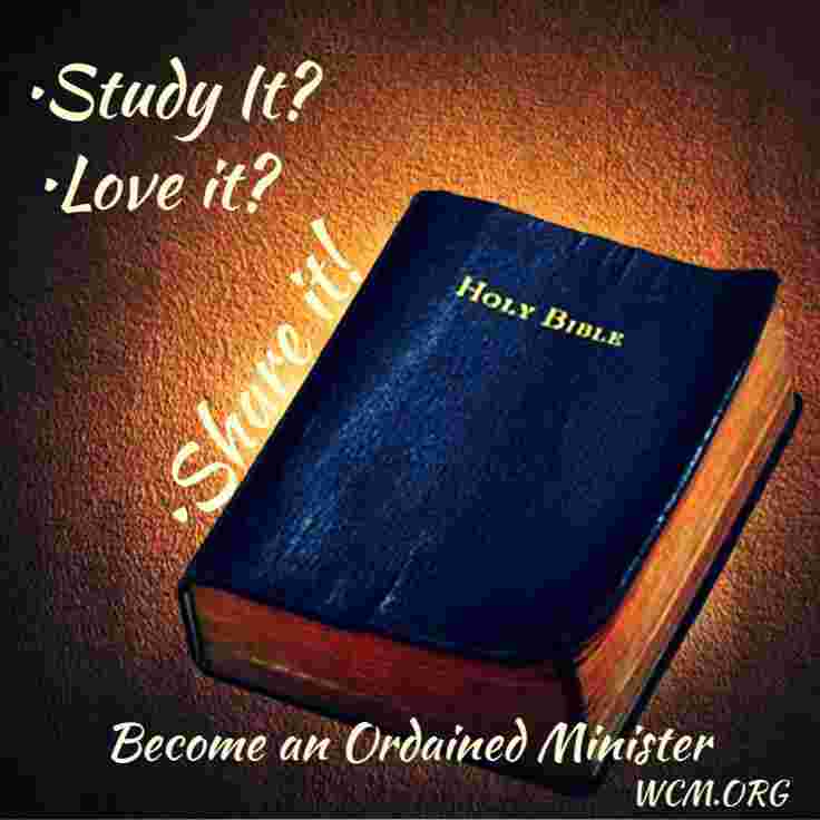 the bible study it